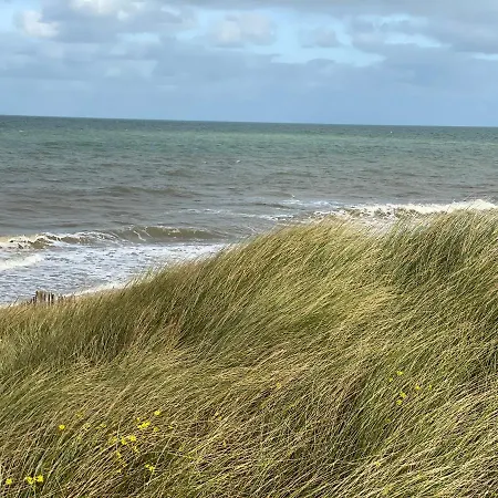 Le Cosy Courseulles-sur-Mer
